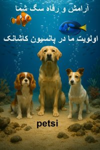 پانسیون سگ کاشانک