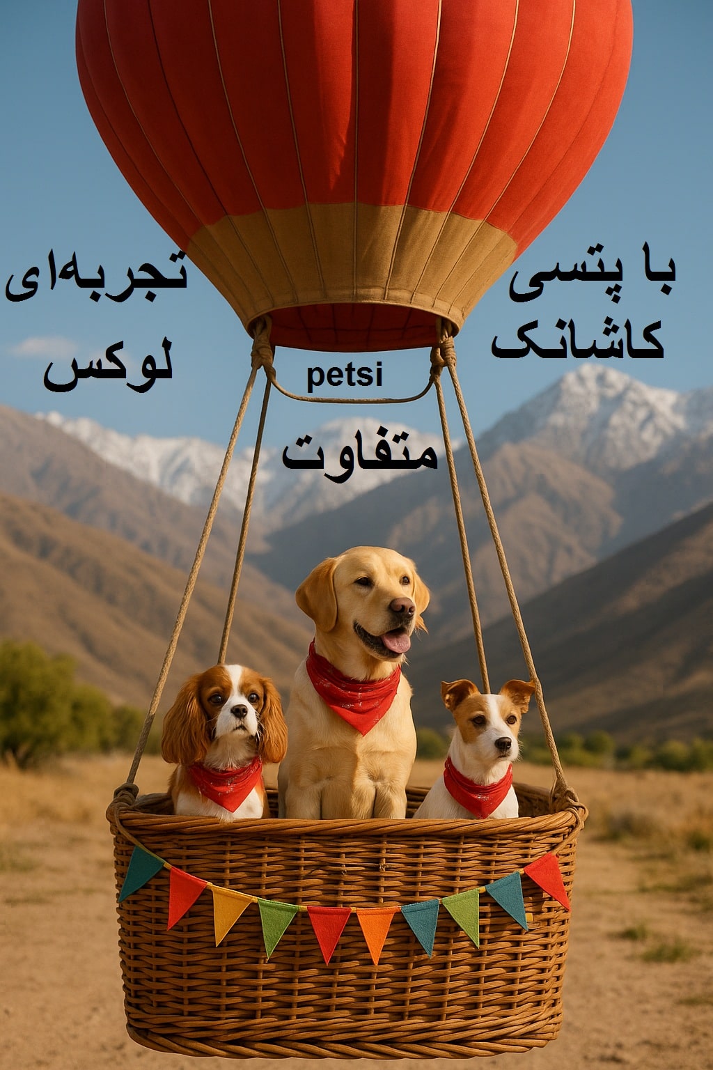 پانسیون سگ کاشانک