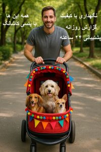 پانسیون سگ کاشانک