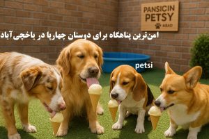 پانسیون سگ یاخچی آباد