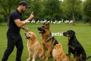 پانسیون سگ یاخچی آباد