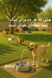 پانسیون سگ یاخچی آباد