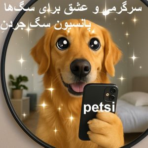 پانسیون سگ جردن