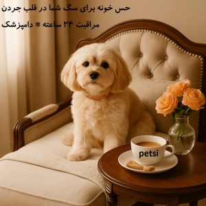 پانسیون سگ جردن