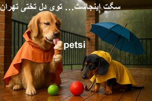 پانسیون سگ تختی