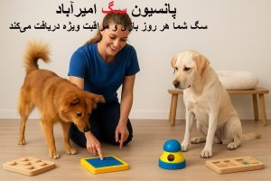 پانسیون سگ امیرآباد