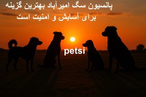 پانسیون سگ امیرآباد