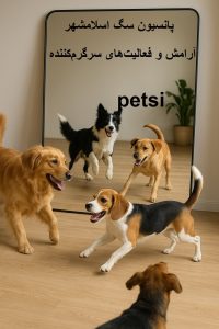 پانسیون سگ اسلامشهر