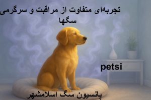 پانسیون سگ اسلامشهر