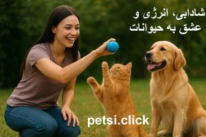 استخدام نگهداری از حیوانات خانگی