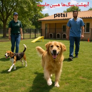 بهترین پانسیون سگ در تهران