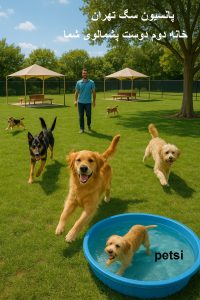 بهترین پانسیون سگ در تهران