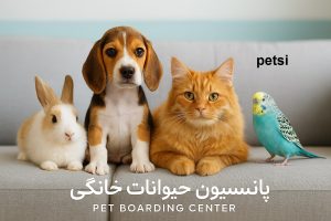 مرکز نگهداری حیوانات خانگی