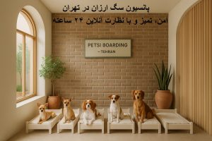 پانسیون سگ ارزان در تهران