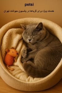 سایت نگهداری حیوانات خانگی
