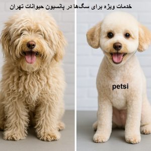 سایت نگهداری حیوانات خانگی